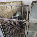 Photo n°3 de l'avis de Giuseppe.i fait le 21/03/2023 à 19:19 sur le  Agriturismo Bongiorno à Antillo