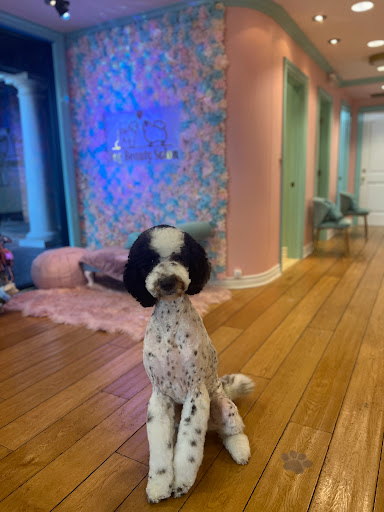 Dog Beauty Salon. Luxury Grooming, Boutique & Luncheonette image