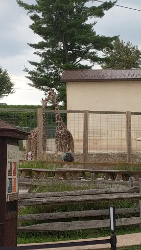 Recreation Center «Go Ape Zip Line & Treetop Adventure - Lums Pond State Park», reviews and photos, 1042 Howell School Rd, Bear, DE 19701, USA