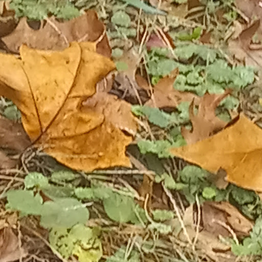 Grocery Store «Giant Food Stores», reviews and photos, 833 W Trenton Ave, Morrisville, PA 19067, USA