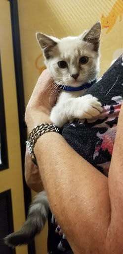 Pet Supply Store «PetSmart», reviews and photos, 4120 E 4th St, Ontario, CA 91764, USA