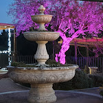 Photo n°10 de l'avis de Maria.d fait le 26/02/2020 à 10:21 sur le  Hotel Relais Castrum Boccea à Rome