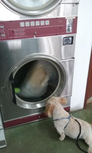 Laundromat «Posh Wash. Laundromat With Drop Off Laundry Service», reviews and photos, 660 SW Hwy 101, Lincoln City, OR 97367, USA