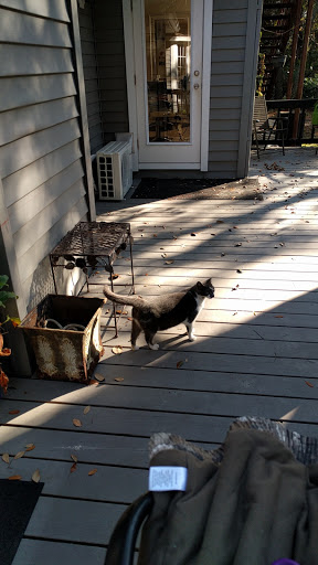 Nail Salon «Clix Hair & Nails-A Salon and Spa», reviews and photos, 105 W Chapman Rd, Oviedo, FL 32765, USA