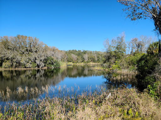 Park «Alafia River State Park», reviews and photos, 14326 S County Rd 39, Lithia, FL 33547, USA