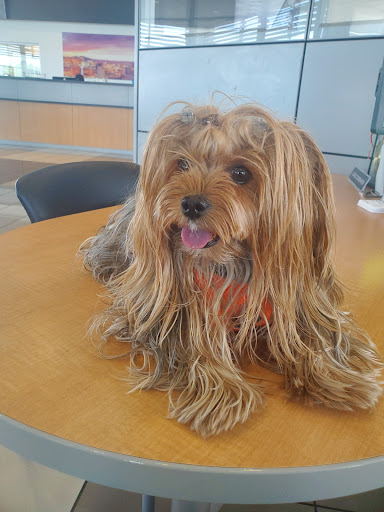 Buick Dealer «AutoNation Buick GMC Henderson», reviews and photos, 330 Old Gibson Rd, Henderson, NV 89014, USA