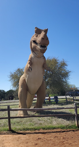 Gift Shop «Dinosaur Valley State Park Store», reviews and photos, 1629 Park Rd 59, Glen Rose, TX 76043, USA
