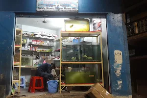 M M Fish Aquarium Shop image