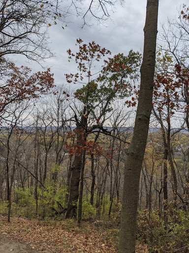 Florist «La Crosse Floral», reviews and photos, 2900 Floral Ln, La Crosse, WI 54601, USA