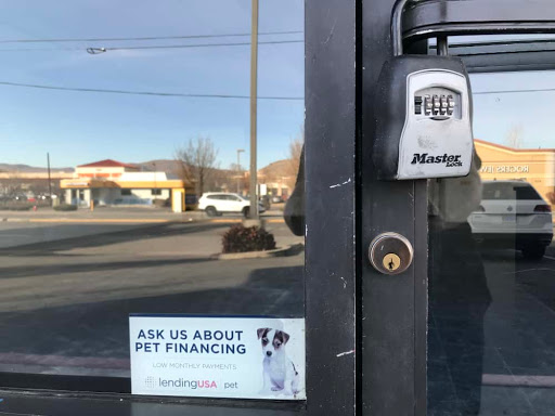 Pet Store «Puppies Plus LLC», reviews and photos, 6405 S Virginia St # 1, Reno, NV 89511, USA
