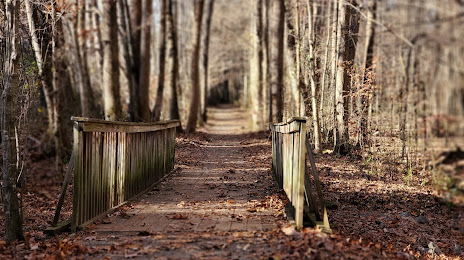 land clearing and land management in Holly Springs, GA