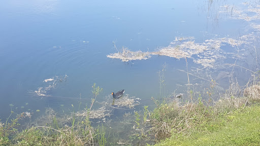 Nature Preserve «Snake Warrior Island Natural Area», reviews and photos, 3600 SW 62nd Ave, Miramar, FL 33023, USA