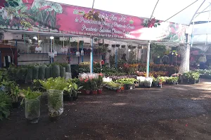 Mercado Deportivo Palacio de la Flor de Xochimilco. image