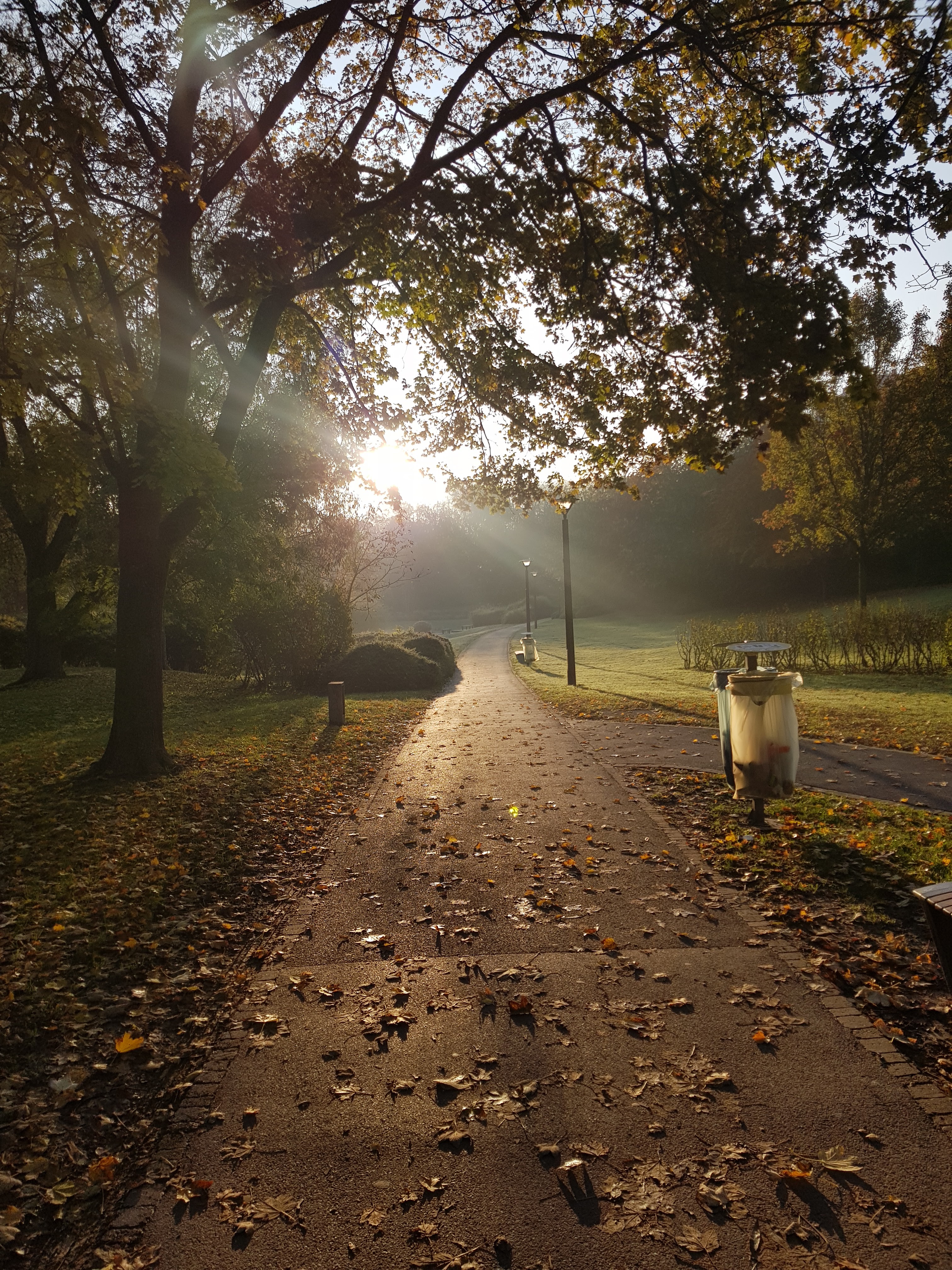 Photo n° 1 de l'avis de Ezechiel. fait le 25/11/2019 à 08:22