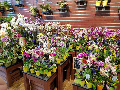 Grocery Store «The Fresh Market», reviews and photos, 30098 Veterans Way, Rehoboth Beach, DE 19971, USA