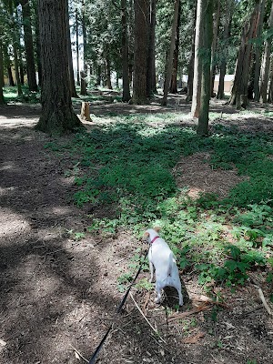 Bender Fields - Lynden Parks - photo 6