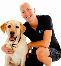 Co-Evolve Dog Training and Behaviour Consultancy