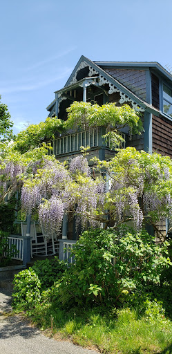 History Museum «Cottage Museum», reviews and photos, 1 Trinity Park, Oak Bluffs, MA 02557, USA