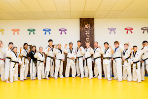 World Taekwondo Academy image