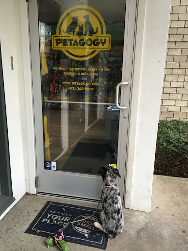 Pet Supply Store «Petagogy», reviews and photos, 5880 Ellsworth Ave, Pittsburgh, PA 15232, USA
