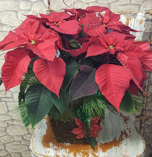 Florist «Carrolls Florist of Beverly», reviews and photos, 385 Cabot St, Beverly, MA 01915, USA