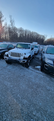 Auto Auction «Manheim Detroit», reviews and photos, 600 Will Carleton Rd, Carleton, MI 48117, USA