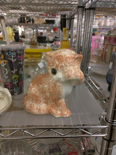 Thrift Store «Thrifty Shopper», reviews and photos, 112 E Manlius St, East Syracuse, NY 13057, USA