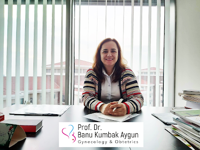 Prof. Dr. Banu Kumbak Aygün - Kadın Hastalıkları, Doğum, Tüp Bebek, Aşılama, Laparoskopi ve Histeroskopi, Jinekolog