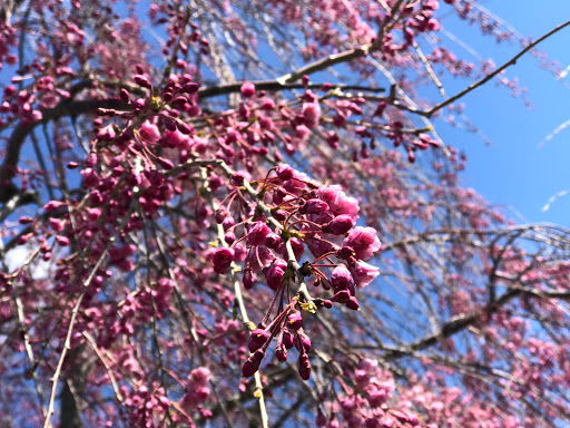 Golf Course «Whitney Farms Golf Course», reviews and photos, 175 Shelton Rd, Monroe, CT 06468, USA