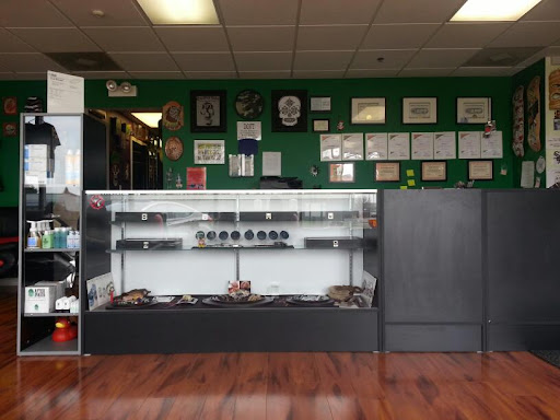 Body Piercing Shop «Wasted Youth Tattoo & PMA Piercing», reviews and photos, 1335 Lakeside Dr #1, Romeoville, IL 60446, USA