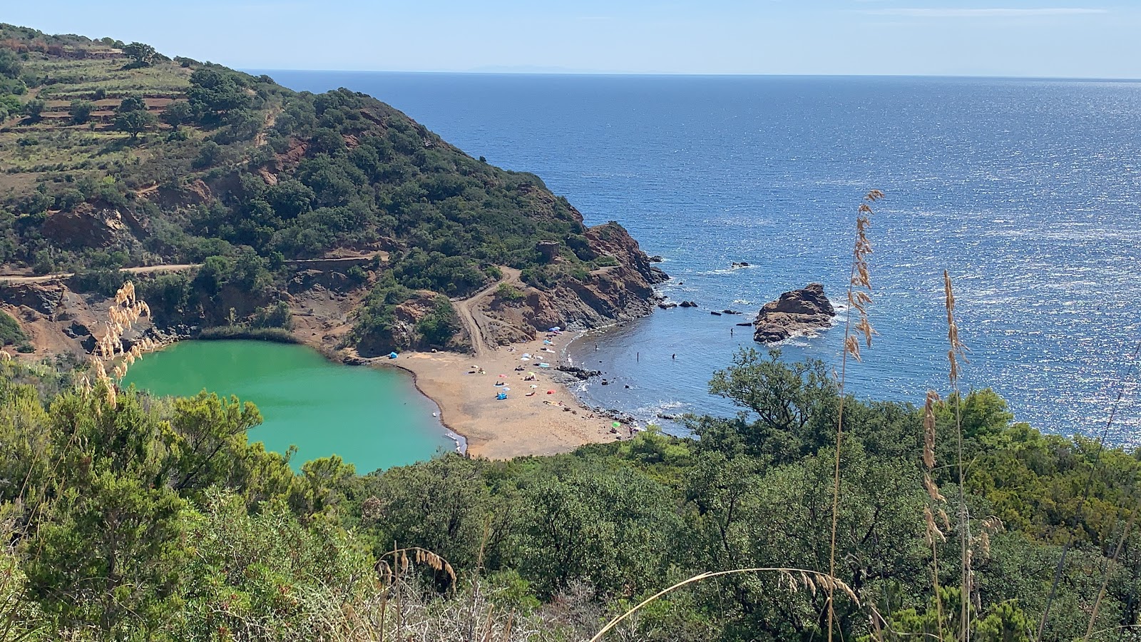 Spiaggia Di Terranera'in fotoğrafı vahşi alan