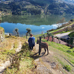 Photo n°1 de l'avis de José.a fait le 17/03/2021 à 23:47 sur le  Quinta das Quintãs à São Tomé de Covelas