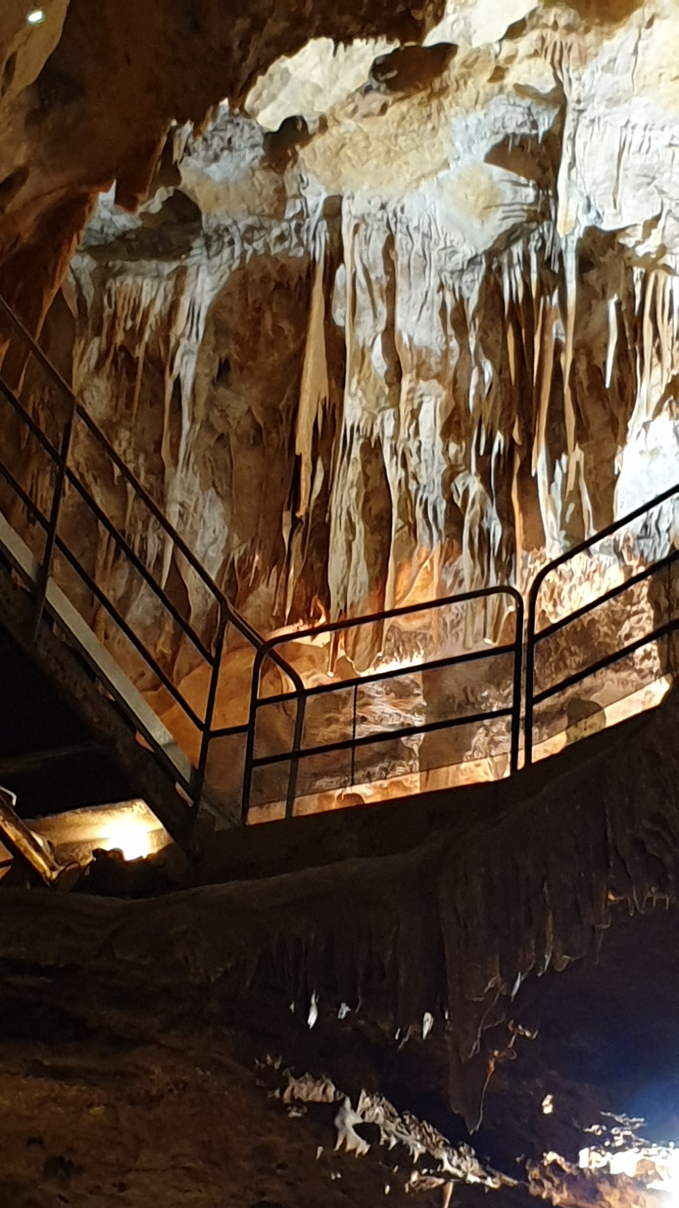 Photo n° 4 de l'avis de Jean.h fait le 20/11/2019 à 09:40