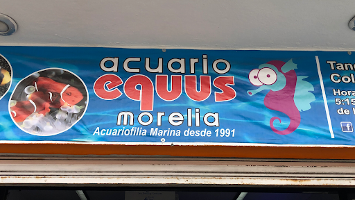 Acuario Equus