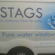 Stags Window Cleaning