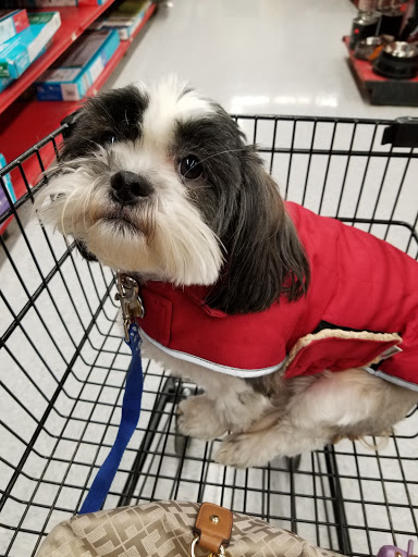 Pet Supply Store «Petco Animal Supplies», reviews and photos, 473 State Rd, North Dartmouth, MA 02747, USA