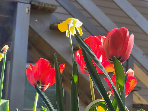 Shopping Mall «Village Centre», reviews and photos, 776 Walker Rd, Great Falls, VA 22066, USA