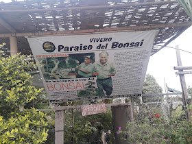 Vivero Paraiso Del Bonsai