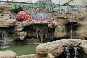 Genting Strawberry Leisure Farms image