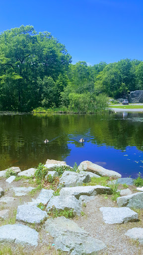 Park «Pond Meadow Park», reviews and photos, 470 Liberty St, Braintree, MA 02184, USA