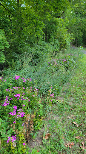 Park «Bronx River Park», reviews and photos, 2 Bronx River Pkwy, Scarsdale, NY 10583, USA