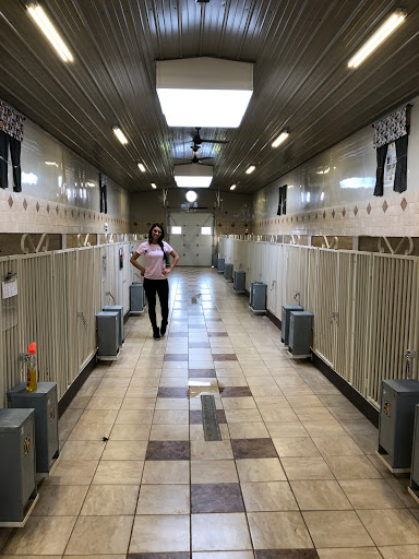 Pet Store «Furry Babies Inc», reviews and photos, 3340 Mall Loop Dr, Joliet, IL 60431, USA