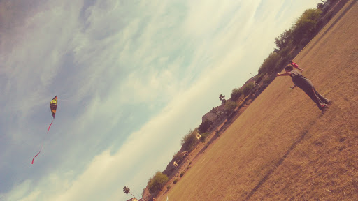 Park «Grover Basin Dog Park», reviews and photos, 17445 N 20th St, Phoenix, AZ 85022, USA