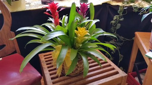 The Art of flowers by Bonnie, 200 Great Rd, Bedford, MA 01730, USA, 