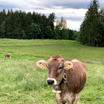 Photo n°2 de l'avis de Christine.. fait le 03/10/2020 à 13:23 sur le  Leonhardts Stall-Besen ... die etwas andere Gastronomie à Wangen im Allgäu