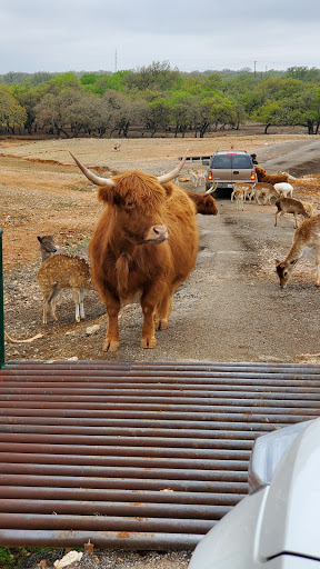 Zoo «The Exotic Resort Zoo», reviews and photos, 235 Zoo Trail, Johnson City, TX 78636, USA