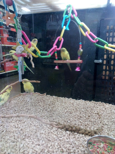 Pet Supply Store «PetSmart», reviews and photos, 2940 Chapel Hill Rd, Douglasville, GA 30135, USA