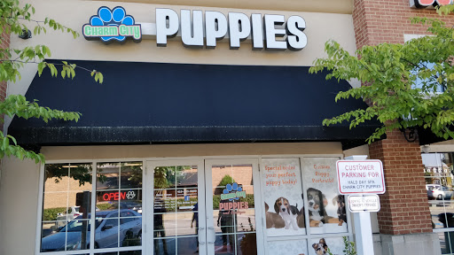 Pet Store «Charm City Puppies», reviews and photos, 8205 Snowden River Pkwy, Columbia, MD 21045, USA