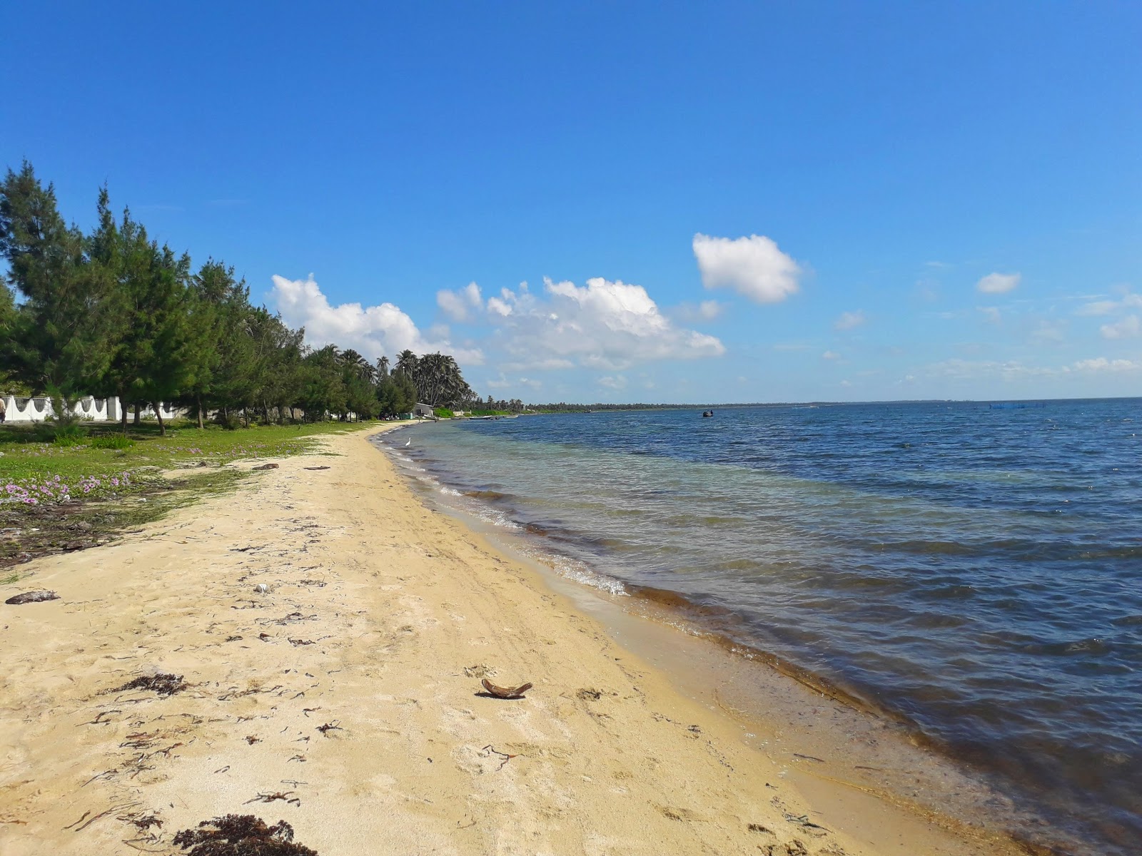Foto van Chaddy Beach - aanbevolen voor gezinsreizigers met kinderen