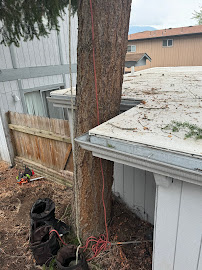 Three Brothers Tree & Property Services LLC - Photo 9 - Car repair in , Medford